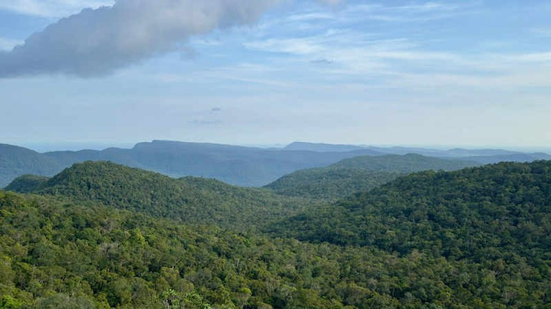 Viet Nam’s forests store large carbon reserves. (Photo: HANH VAN) Viet Nam’s forests store large carbon reserves. (Photo: HANH VAN)