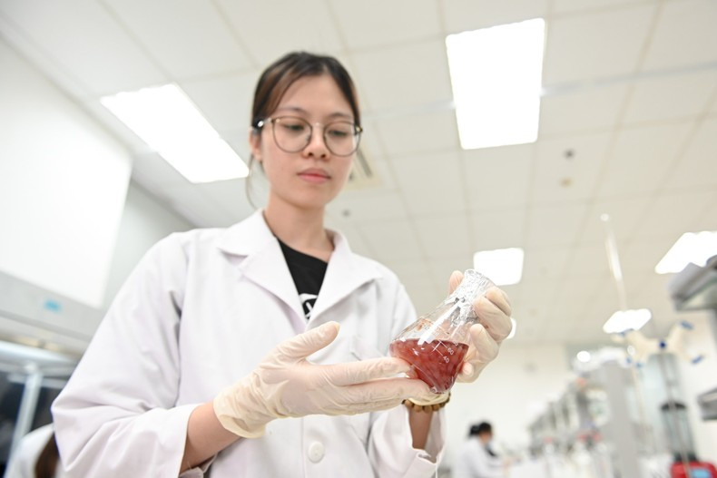 The development of human resources is a key factor in ensuring national endogenous capacity. (Photo: THE DAI)