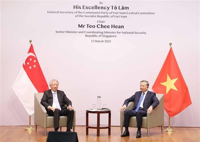 Party General Secretary To Lam (R) and Singapore's Senior Minister and Coordinating Minister for National Security Teo Chee Hean at the event (Photo: VNA)