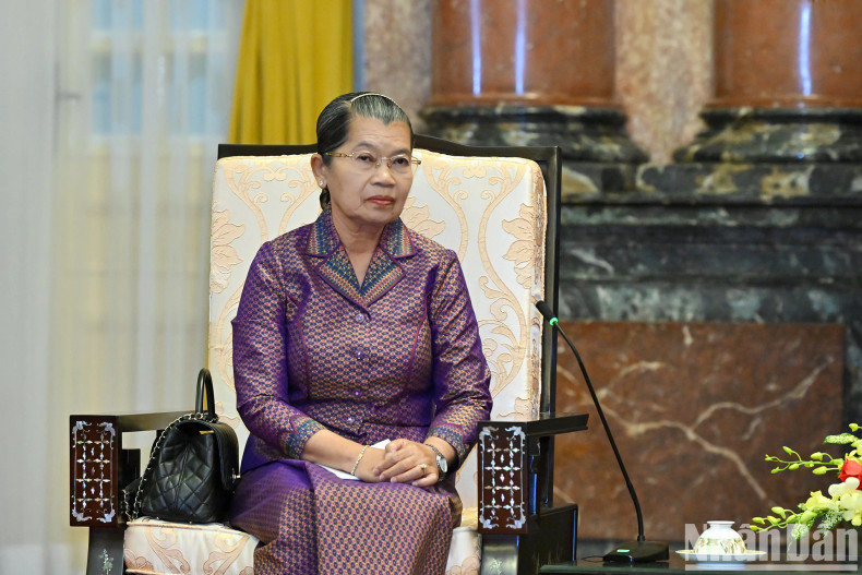 Vice President of the CPP Men Sam An speaks at the reception.