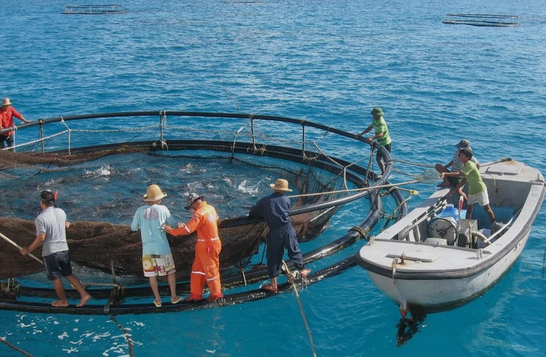 Because there are no regulations stating that "assets such as fish cages can be used as collateral", banks find it difficult to accept and process loan applications. Because there are no regulations stating that "assets such as fish cages can be used as collateral", banks find it difficult to accept and process loan applications.