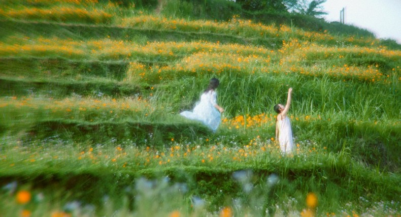 A scene from the film ‘Don't Cry, Butterfly’. (Photo courtesy of the figure) A scene from the film ‘Don't Cry, Butterfly’. (Photo courtesy of the figure)