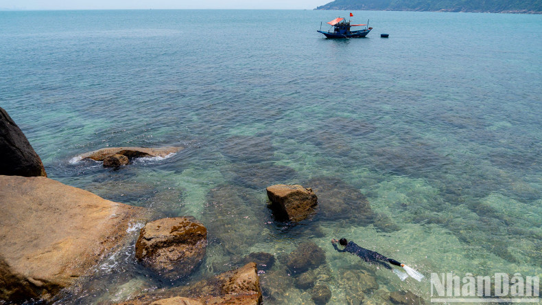 The “pearl island” boasts a diverse underwater ecosystem, with more than 144 species of coral, 135 types of seaweed, and 162 species of vibrantly coloured fish, creating a shimmering, dreamlike world beneath the sea. The “pearl island” boasts a diverse underwater ecosystem, with more than 144 species of coral, 135 types of seaweed, and 162 species of vibrantly coloured fish, creating a shimmering, dreamlike world beneath the sea.
