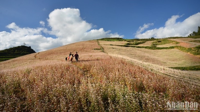 Viet Nam actively promotes tourism through international exchange activities. (Photo: VU LINH) Viet Nam actively promotes tourism through international exchange activities. (Photo: VU LINH)