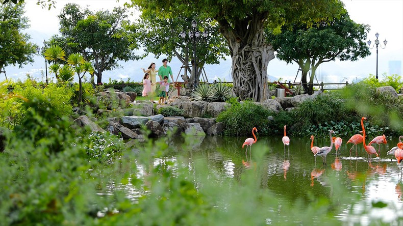 Visitors can immerse themselves in the diverse natural ecosystem. (Photo: VNAT)