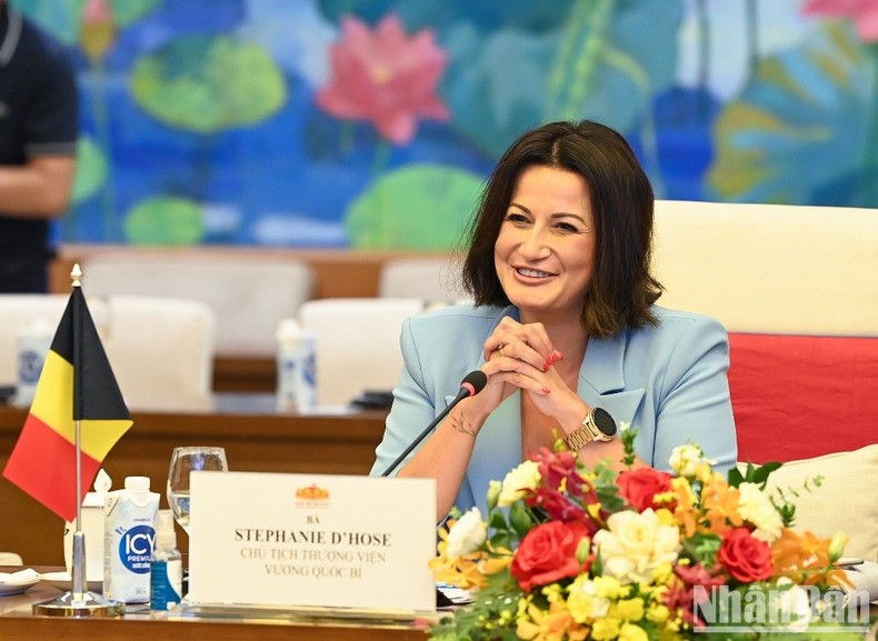 President of the Belgian Senate Stephanie D'Hose speaks at the talks.