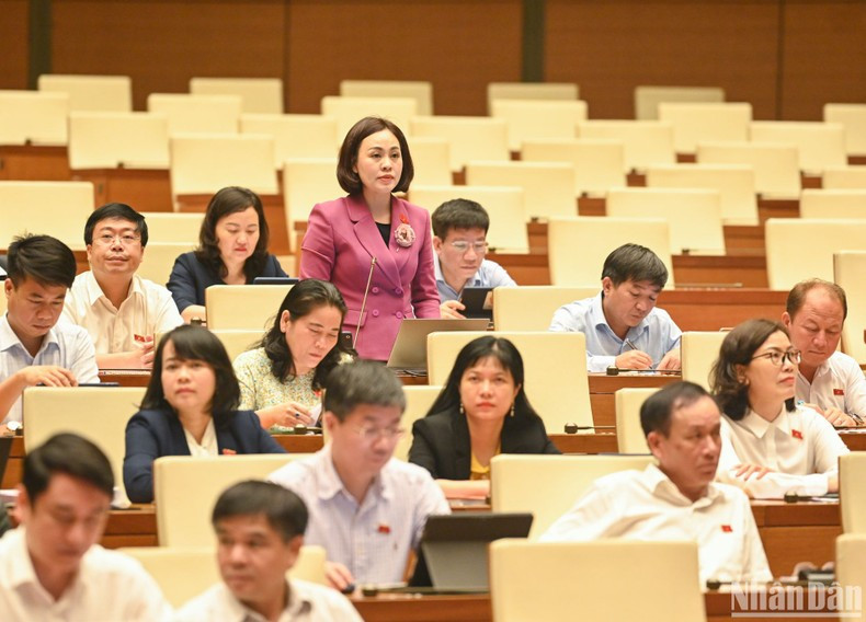 NA Deputy Tran Thi Hong Thanh from Ninh Binh Province speaks at the meeting. NA Deputy Tran Thi Hong Thanh from Ninh Binh Province speaks at the meeting.