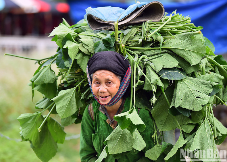 An old H’Mong woman at Lung Cam Cultural Village returns home after a day of work. Without fatigue and boredom, her relaxed smile really makes others forget all their troubles in life. An old H’Mong woman at Lung Cam Cultural Village returns home after a day of work. Without fatigue and boredom, her relaxed smile really makes others forget all their troubles in life.