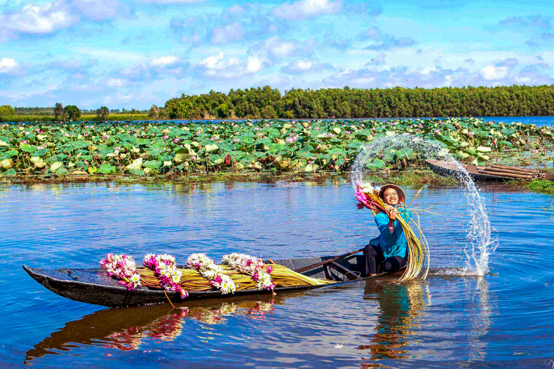 Roaming on a canoe down the vast fields or along the canals to pick water lilies has been a part of the idyllic daily life of the people for many generations.