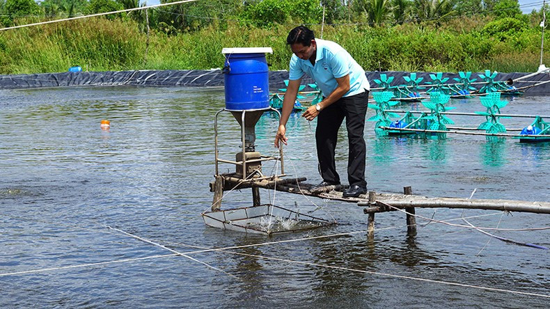 Farmers in Tan Hung Commune (Cai Nuoc District, Ca Mau Province) visit a super-intensive shrimp pond that has just released a new crop. Farmers in Tan Hung Commune (Cai Nuoc District, Ca Mau Province) visit a super-intensive shrimp pond that has just released a new crop.