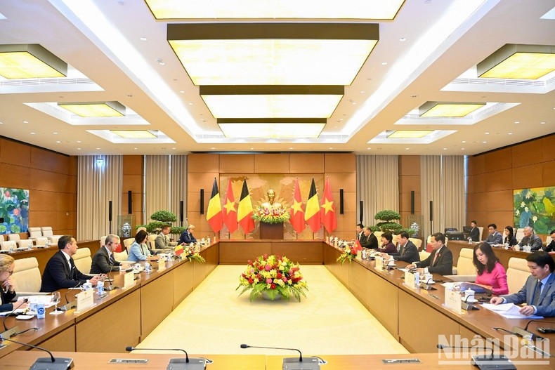In Pictures: NA leader Vuong Dinh Hue holds talks with President of Belgian Senate Stephanie D'Hose ảnh 7