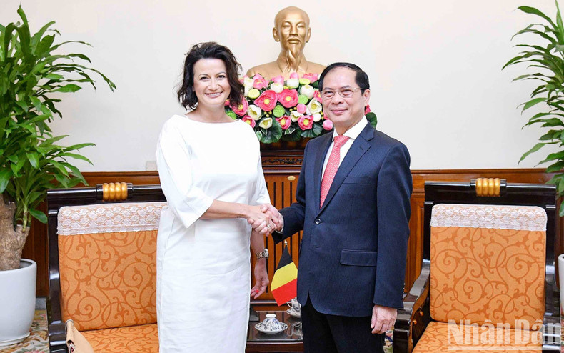 Foreign Minister Bui Thanh Son and President of the Belgian Senate Stephanie D'Hose at the working session.