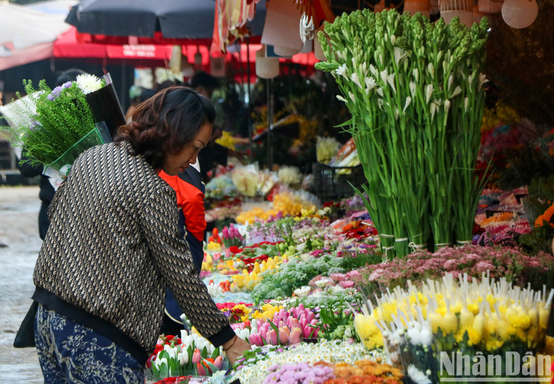 Quang An is a wholesale flower market, so the prices of flowers here are quite cheap. Quang An is a wholesale flower market, so the prices of flowers here are quite cheap.