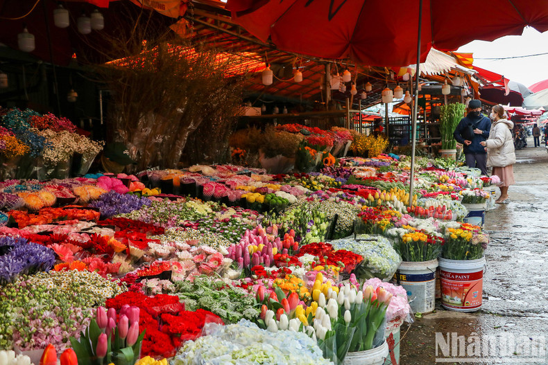 Many kinds of flowers are sold at the market to meet the consumers’ demand. Many kinds of flowers are sold at the market to meet the consumers’ demand.