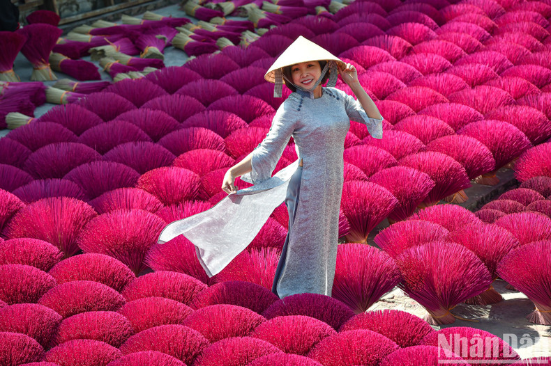 The Ao Dai (Vietnamese traditional long dress) is enchantingly beautiful beside the brilliant scenery of red incense bouquets. The Ao Dai (Vietnamese traditional long dress) is enchantingly beautiful beside the brilliant scenery of red incense bouquets.