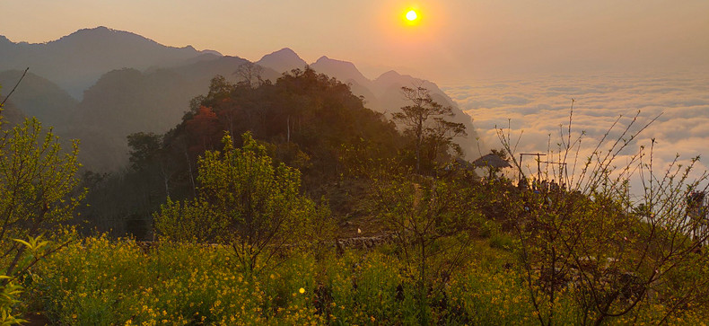 Around the places for hunting clouds, the locals grow different types of flowers. In spring, canola flowers bloom brilliantly.