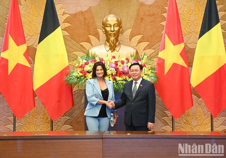 In Pictures: NA leader Vuong Dinh Hue holds talks with President of Belgian Senate Stephanie D'Hose ảnh 6