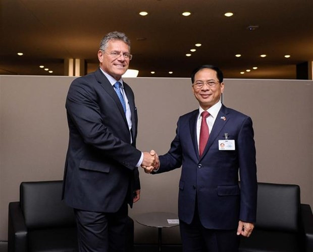 Minister of Foreign Affairs Bui Thanh Son (R) and Vice President of the European Commission for Interinstitutional Relations Maros Sefcovic meet in New York on September 20. (Photo: VNA) Minister of Foreign Affairs Bui Thanh Son (R) and Vice President of the European Commission for Interinstitutional Relations Maros Sefcovic meet in New York on September 20. (Photo: VNA)