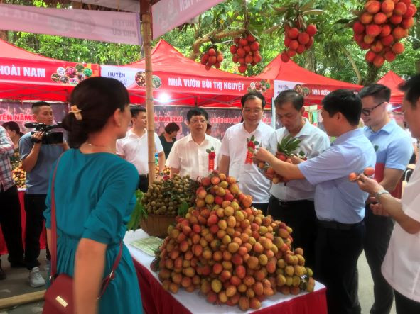 A lychee market is held at Ecopark Urban Area, Van Giang District, Hung Yen Province.