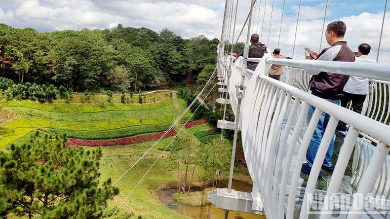 Below the glass bridge is a pine forest and flower gardens.