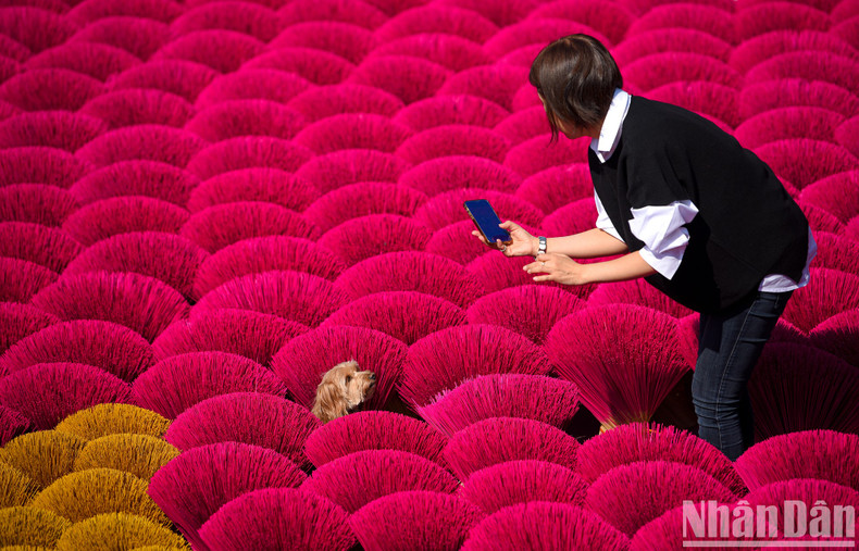 Many foreign tourists are surprised by the colours here. Many foreign tourists are surprised by the colours here.