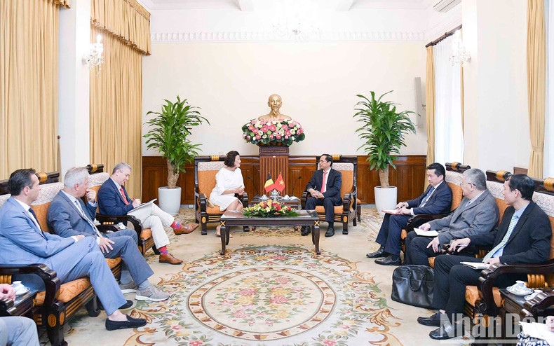 An overview of the working session between Foreign Minister Bui Thanh Son and President of the Belgian Senate Stephanie D'Hose.