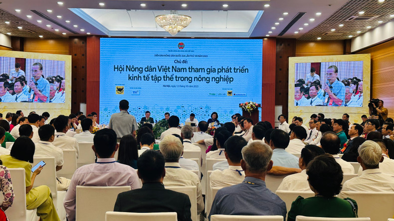 An overview of the forum. (Photo: KIM LINH)