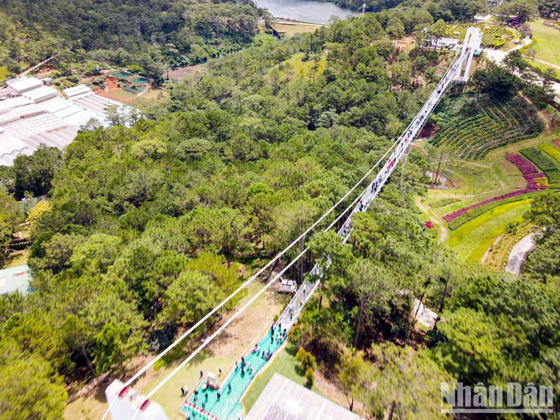 Ngan Thong Glass Bridge connects Mong Mo Hill and the Love Valley.
