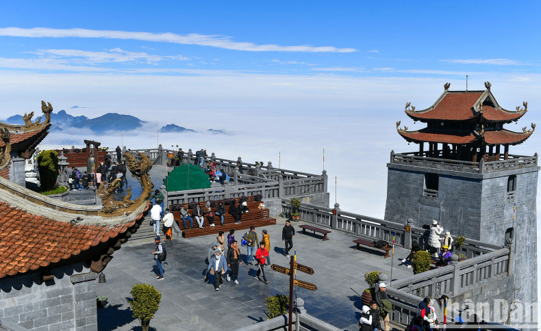Standing on the highest peak of Indochina during this time, visitors can view the sea of clouds stretching to the horizon, hidden by the immense green of Hoang Lien Son mountains and forests. The scene is as beautiful as a fairyland.