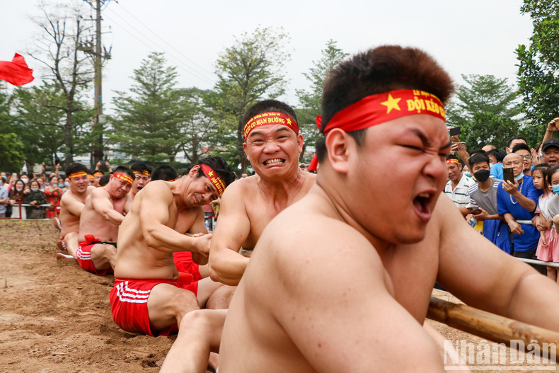 The Man Duong team's members are trying to pull, aiming to bring victory for their team. The Man Duong team's members are trying to pull, aiming to bring victory for their team.