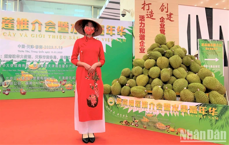 Vietnamese durian showcased at a trade promotion event in Tianjin City, China. (Photo: HUU HUNG)