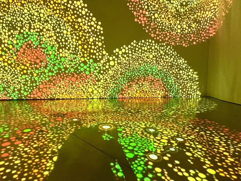 A light performance at the exhibition (Photo: NDO) A light performance at the exhibition (Photo: NDO)