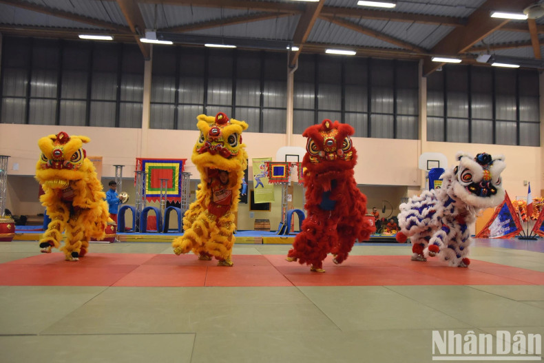 Lion and dragon dances are a combination of spiritual beauty, traditional martial arts, and the excitement of drums and cymbals. Lion and dragon dances are a combination of spiritual beauty, traditional martial arts, and the excitement of drums and cymbals.