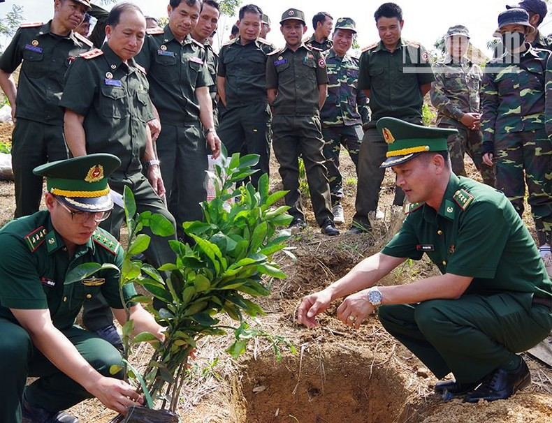 Vietnamese officers directly guide the technique of planting and caring for trees at the planting site.