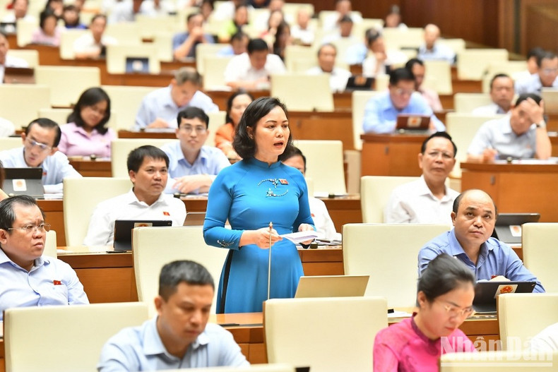 In Pictures: NA starts question-and-answer session ảnh 9