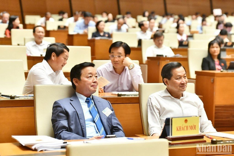 In Pictures: NA starts question-and-answer session ảnh 5