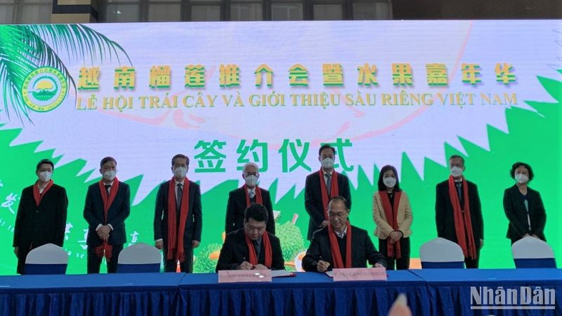 The two sides sign cooperation agreements on fruit import-export. (Photo: NDO) The two sides sign cooperation agreements on fruit import-export. (Photo: NDO)