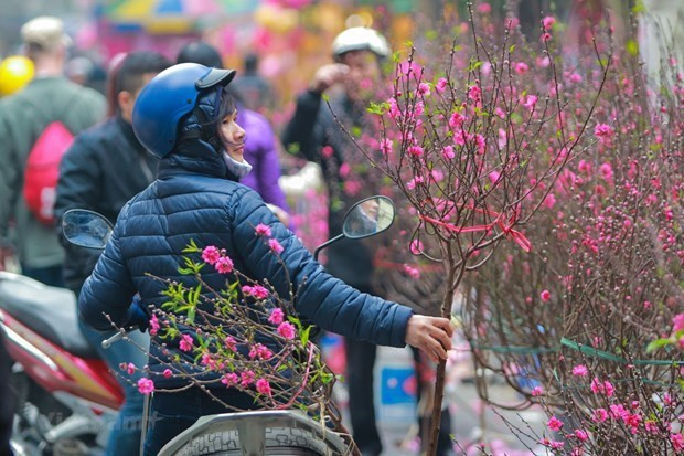 Cold weather is expected to blanket northern provinces during Tet holiday. (Photo: VNA)