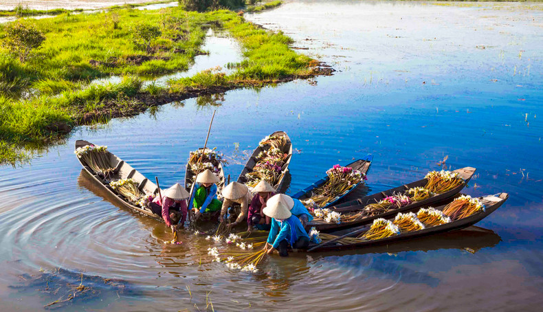 When the water rises, everywhere you go, you can hear the sound of the oars covering the water, the sound of chattering, the laughter of people as if forgetting their own hardships as they pick water lilies.