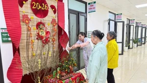Tet space along the corridor at My Duc General Hospital (Ha Noi Department of Health). 