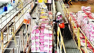 Cement production line at INSEE Company.