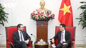 Deputy Minister of Foreign Affairs Dang Hoang Giang (R) meets with British Ambassador to Viet Nam Iain Frew in Ha Noi on March 24. (Photo: VNA)