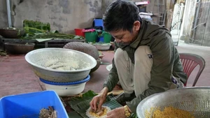 Nguyen Tat Lo, Thuy Duong village, wrapping chung cakes. (Photo: VNA)