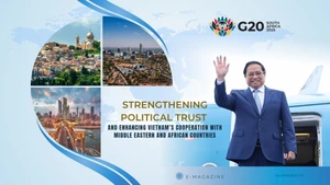 Strengthening political trust and enhancing Viet Nam’s cooperation with Middle Eastern and African countries