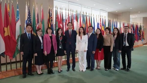 The Viet Nam delegation attends the vote. (Photo: VNA)