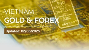 Infographic: SJC gold price rises to 117.8 million VND per tael on June 2