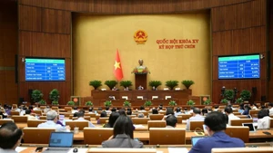 The National Assembly passes the law amending and supplementing several articles of the Criminal Code. (Photo: bocongan.gov.vn)
