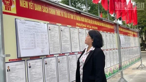 Voters in Hoa Khanh ward read information on the public notice board.