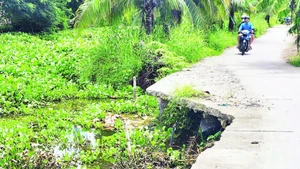 New erosion points along a rural road in Trung Doan Hamlet, An Minh Bac Commune, U Minh Thuong District, Kien Giang Province.