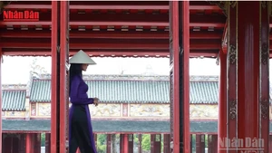 Video: Viet Nam listed among the 28 most beautiful countries in the world